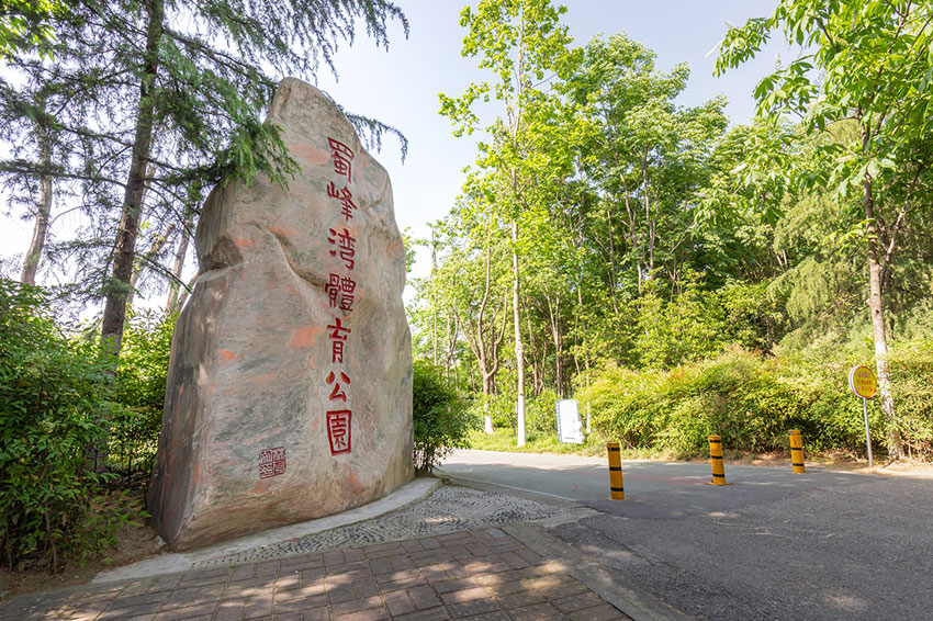 合肥綠化養(yǎng)護服務